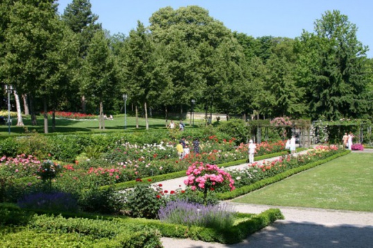 Atrakcie v meste Bern: Rose Garden